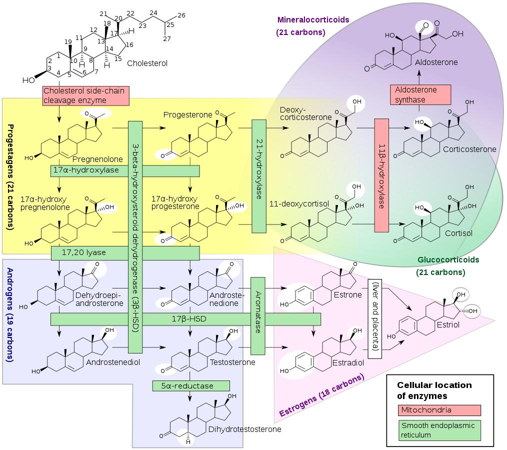 avt-pharma-20221123-26.jpg