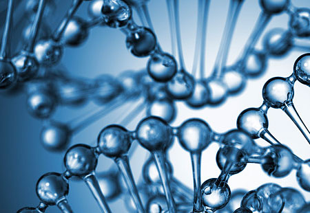 環境への配慮と生物学的例外の持続可能な開発