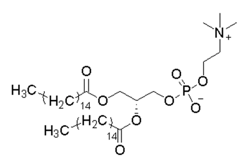 12 dipalmitoyl sn glycero 3 phosphocholinedppc